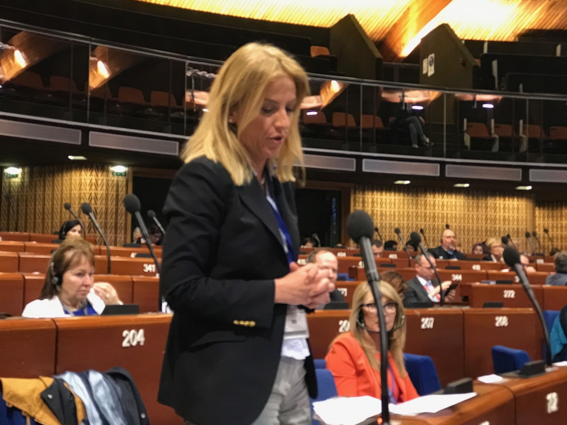 Ερώτηση της Ρ. Δούρου προς τον Επίτροπο Ανθρωπίνων Δικαιωμάτων