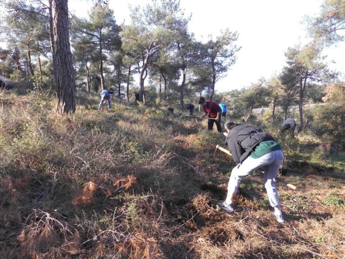 Ημερίδα Εθελοντικής Αναδάσωσης στο Σειχ Σου