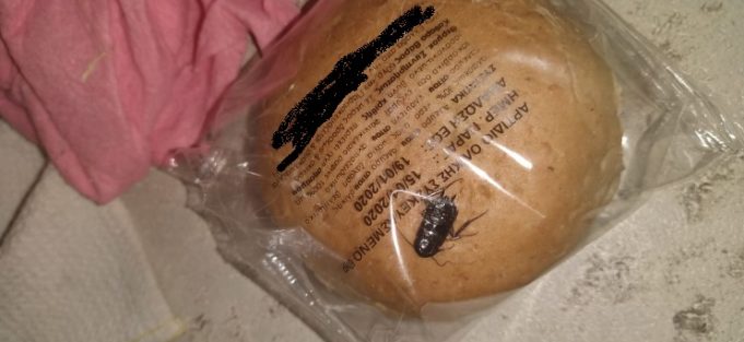 Υγειονομικός Έλεγχος στα σχολεία μετά την καταγγελία για κατσαρίδα σε ψωμί μαθητή