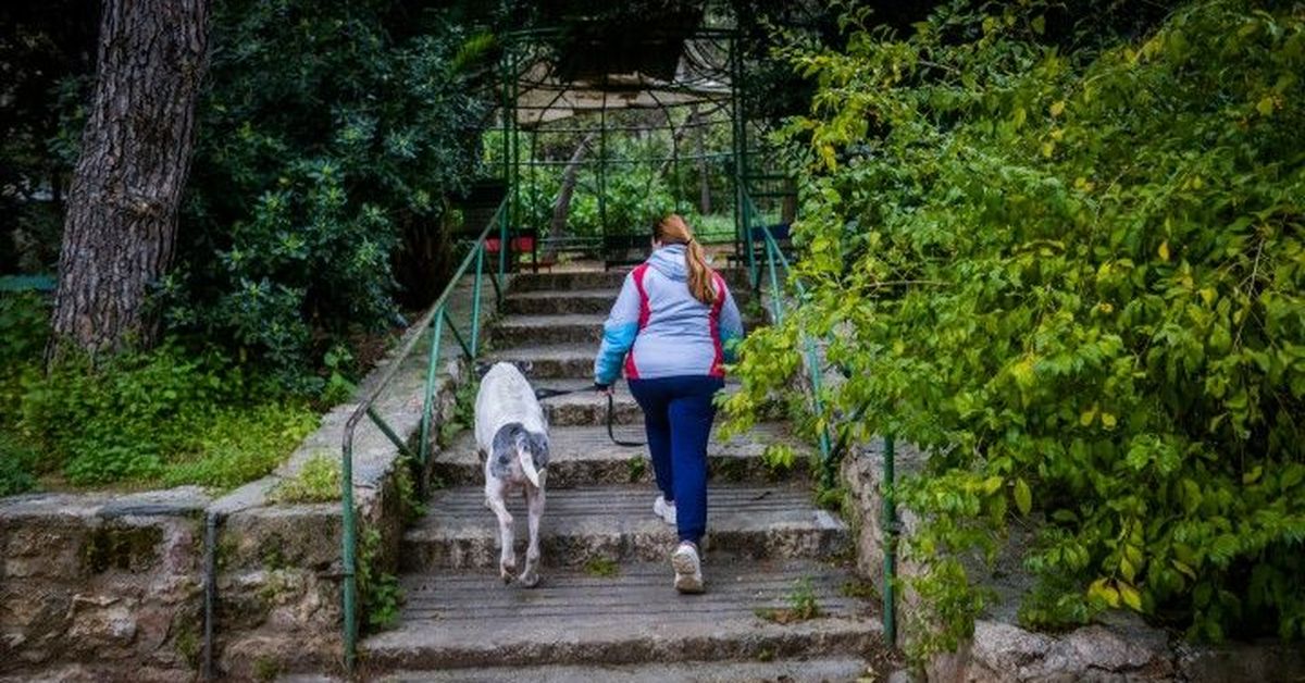 Δήμος Αθηναίων: Οι χώροι πρασίνου και άθλησης που ανοίγουν σταδιακά από σήμερα
