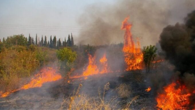 Έκτακτο: Φωτιά στο Νέο Βουτζά