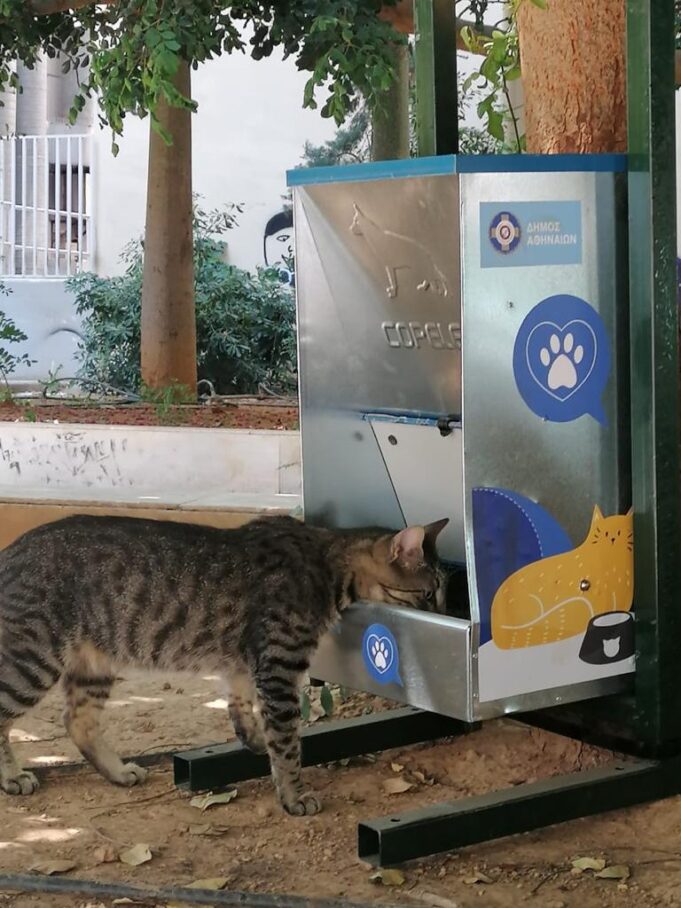 Νέες ταΐστρες για αδέσποτα από τον Δήμο Αθηναίων με υπόδειξη των δημοτών