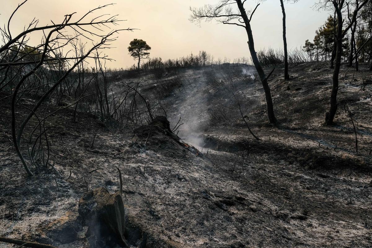 Υπουργείο Περιβάλλοντος: Ενίσχυση 900.000 ευρώ σε δασικούς συνεταιρισμούς και κέντρα περίθαλψης άγριας πανίδας στη Βόρεια Εύβοια
