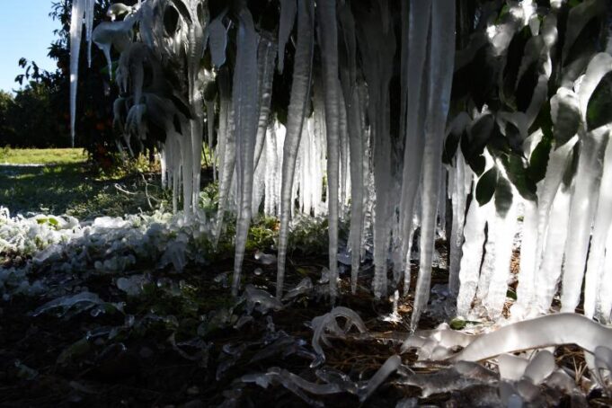 Καιρός – meteo: Ηλιοφάνεια και χαμηλές θερμοκρασίες – Παγετός σε Αττική, Θεσσαλονίκη