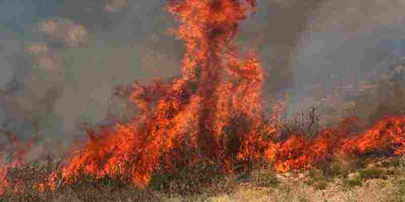 Φωτιά Άμφισσα: Ανεξέλεγκτη η πυρκαγιά, απειλεί τη βόρεια πλευρά της Ιτέας - Μήνυμα από το 112