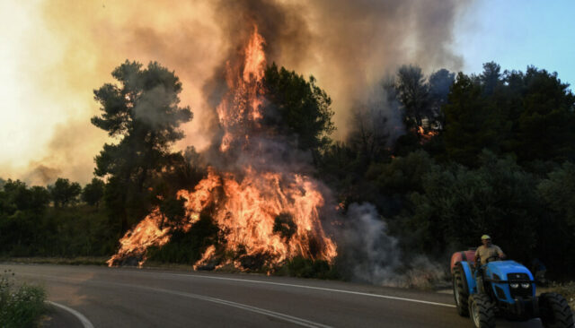 ΗΛΕΙΑ-ΜΕΓΑΛΗ ΠΥΡΚΑΓΙΑ ΣΤΑ ΚΡΕΣΤΕΝΑ (ILIALIVE.GR/ΓΙΑΝΝΗΣ ΣΠΥΡΟΥΝΗΣ/EUROKINISSI)