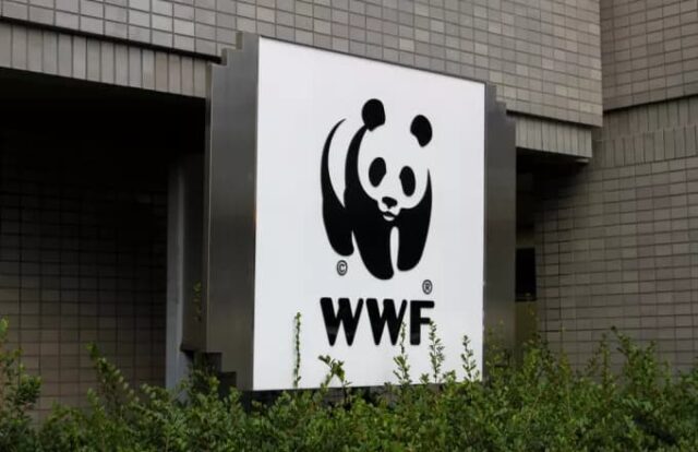 WWF: Σχεδόν το 70% της άγριας πανίδας εξαφανίστηκε από το 1970