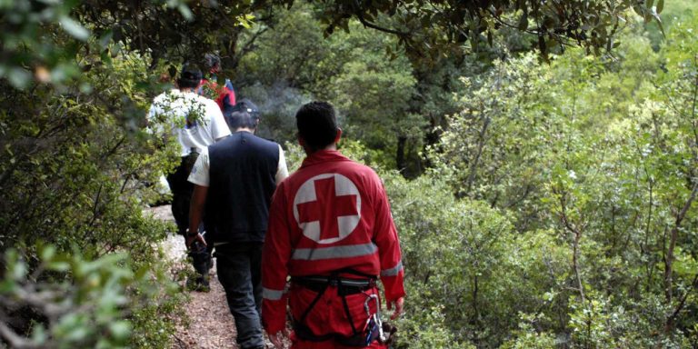 Γυναίκα εντοπίστηκε νεκρή σε χαράδρα στους Δελφούς