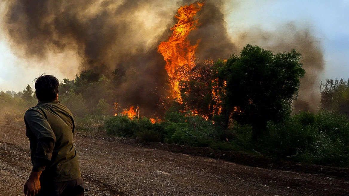 Φωτιά τώρα στην Εύβοια – Επιχειρούν 40 πυροσβέστες