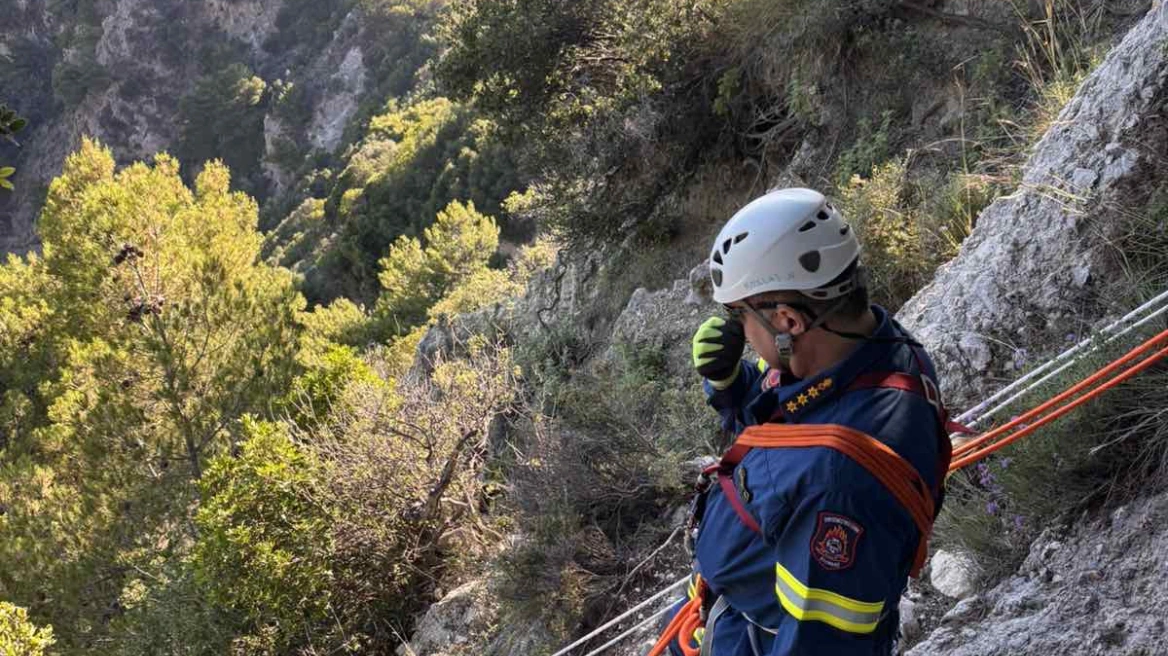 Η στιγμή που πυροσβέστες σώζουν τουρίστρια που έπεσε σε γκρεμό στην Κέρκυρα – Δείτε βίντεο