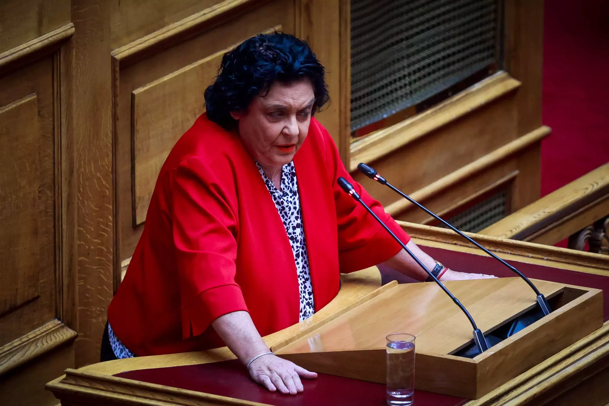 Κανέλλη: «Η κυρία της Πλεύσης Ελευθερίας είναι η κορωνίδα του συστήματος, ξεπλένει ΠΑΣΟΚ και ΣΥΡΙΖΑ»