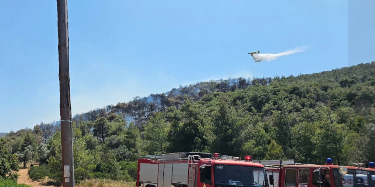 Σε ύφεση η φωτιά στο Άνω Σούλι Μαραθώνα