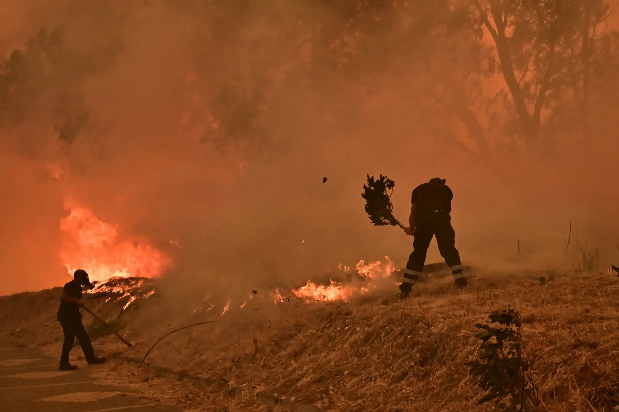 Διάσπαρτες εστίες στο Κρυονέρι – Σε εξέλιξη τα πύρινα μέτωπα σε Εύβοια, Μεσσηνία, Κύθηρα, Κρήτη