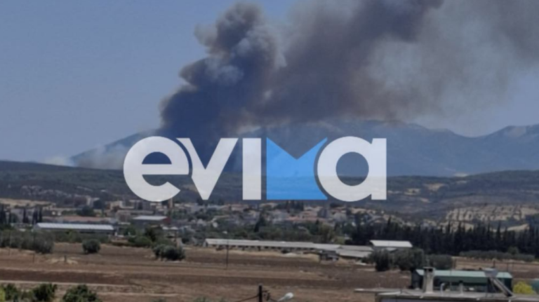 Εύβοια: Καίγεται δάσος στην περιοχή Τριάδα
