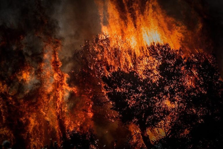 Μεγάλη αναζωπύρωση στο Φενεό Κορινθίας: Μήνυμα από το 112 για εκκένωση τριών χωριών