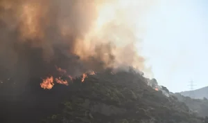 Μαίνονται οι πυρκαγιές: Νέα μηνύματα για εκκενώσεις σε Πρέβεζα και Χίο