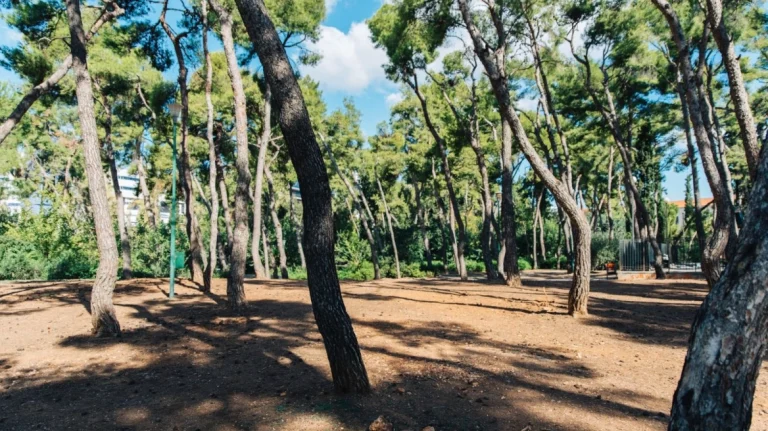 Άνοιξε ξανά για το κοινό το Άλσος Χωροφυλακής στην Αθήνα