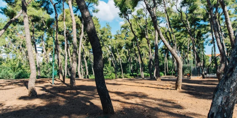 Δήμος Αθηναίων: Κλειστό το Άλσος Χωροφυλακής για τις παράνομες ταφές ζώων