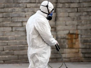 Βουλγαρία: Κρούσματα της γρίπης των πτηνών σε τρεις φάρμες