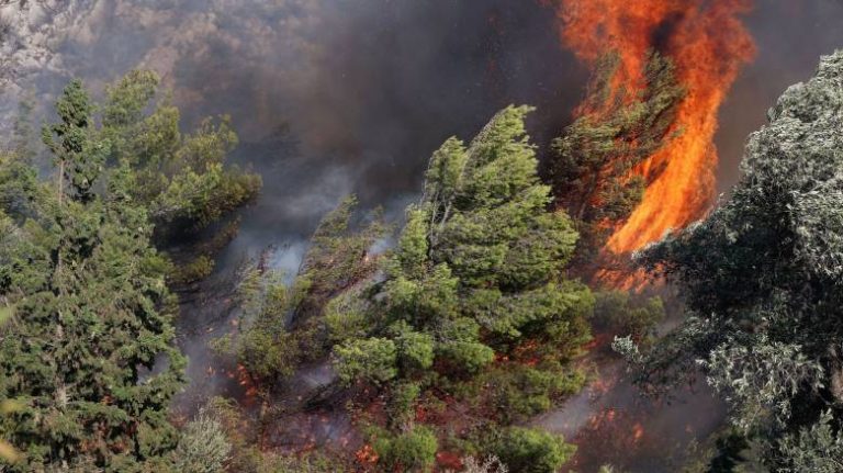Φωτιά σε δάσος στην Αρχαία Νεμέα