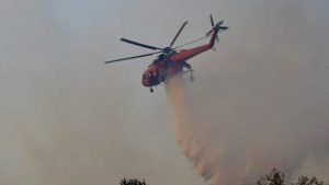 Φωτιά στο Σύδενδρο Γρεβενών 