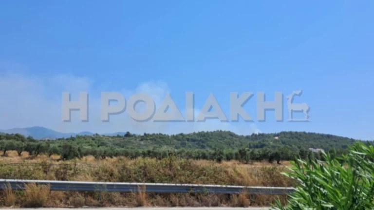 Μεγάλη φωτιά στη Ρόδο – Συναγερμός στην Πυροσβεστική