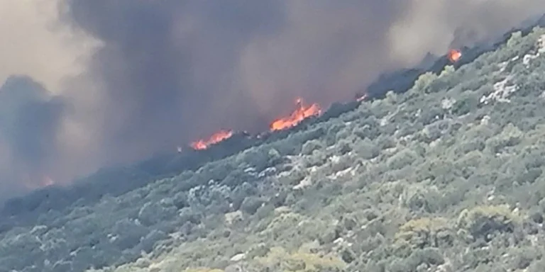 Φωτιά στην Κερατέα – Μεγάλη κινητοποίηση της Πυροσβεστικής