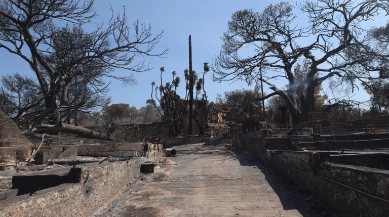 Φωτιά στην Ανατολική Αττική: «Υπάρχει βίντεο που δείχνει ένα άτομο να κινείται ύποπτα στον Άγιο Νικόλαο»