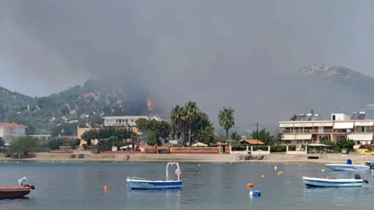 Φωτιά τώρα στη Μαούνη Ευβοίας
