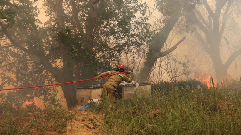 Διάσπαρτες εστίες στην Πάτρα – Χωρίς ενεργό μέτωπο οι φωτιές σε Ζάκυνθο και Πρέβεζα
