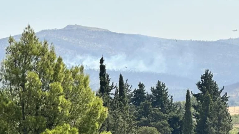 Πυρκαγιά σε εξέλιξη στα Δερβενοχώρια Βοιωτίας