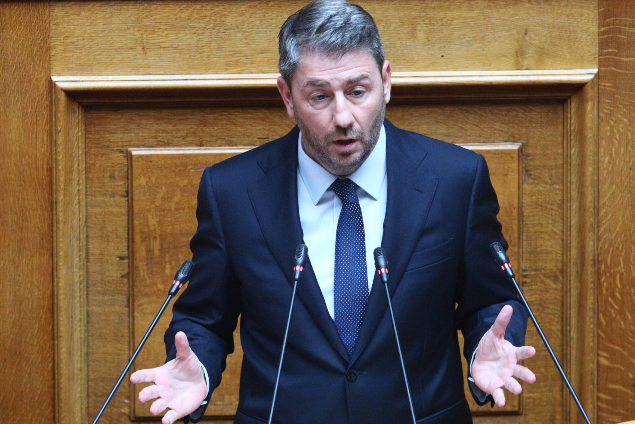 Επιστολή Ανδρουλάκη σε Κακλαμάνη για την αναγνώριση της Παλαιστίνης