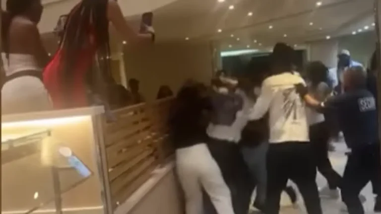 Άγριο ξύλο σε κρουαζιερόπλοιο για… κοτομπουκιές – Δείτε βίντεο