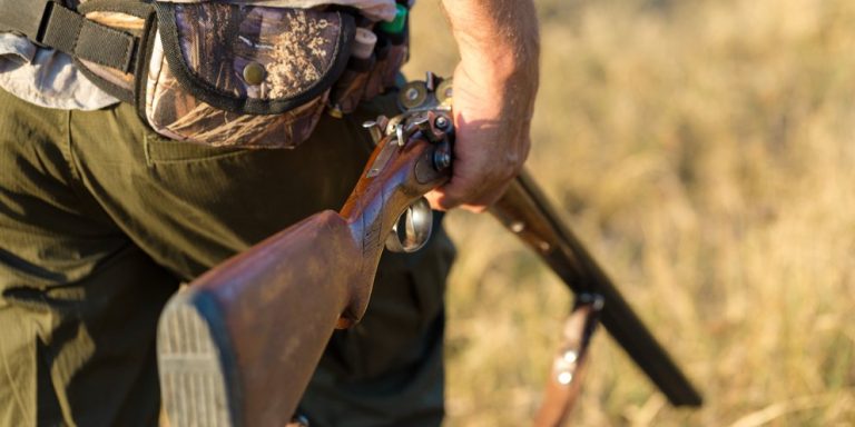 Ξεκινά στις 20 Αυγούστου η κυνηγετική περίοδος – Τι επιτρέπεται