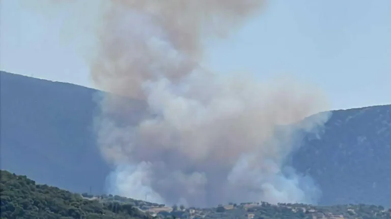 Φωτιά τώρα σε δάσος στην Πελεή Αργολίδας 