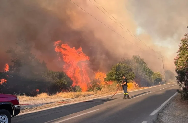 Δύο μέτωπα φωτιάς στην Πρέβεζα