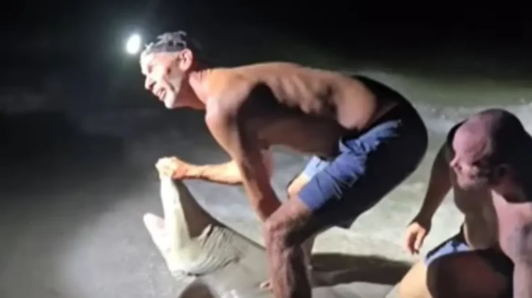 Βίντεο: Αμερικανός προσπάθησε να βγάλει φωτογραφία με καρχαρία και αυτός τον δάγκωσε