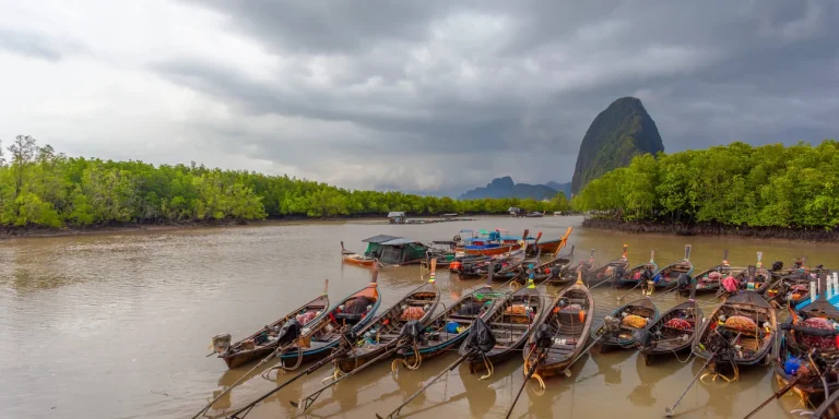Θρίλερ στην Ταϊλάνδη: Εντοπίστηκε πτώμα γυναίκας στη θάλασσα – Ήταν δεμένη στον λαιμό με δύο βαράκια