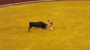 Λισαβόνα: 22χρονος προκάλεσε ταύρο και σκοτώθηκε σε αρένα 