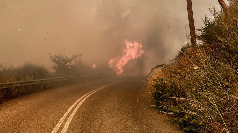 Φωτιά τώρα στο Χελιδόνι της Αρχαίας Ολυμπίας