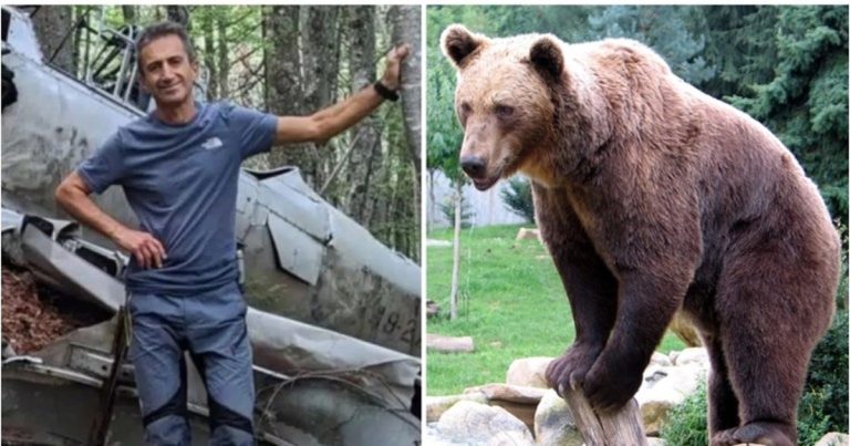 Δράμα: Συγκλονιστικό βίντεο ντοκουμέντο με την αρκούδα που επιτέθηκε και σκότωσε τον 61χρονο ορειβάτη 