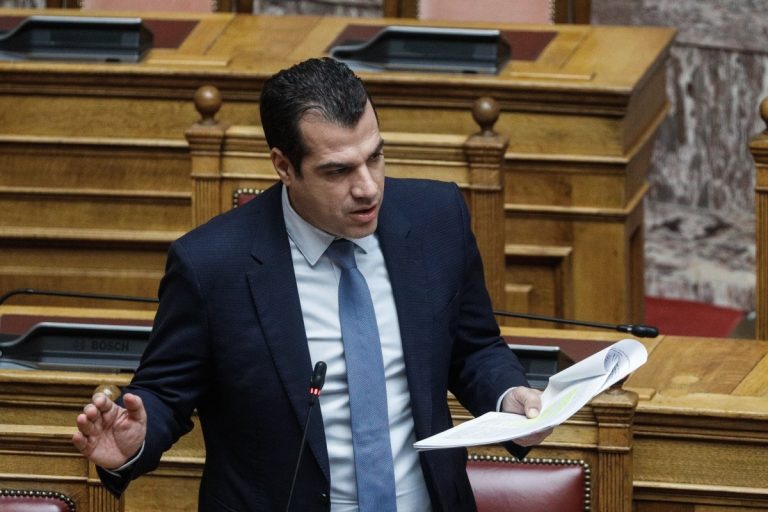 Πλεύρης: «Προστατεύουμε την πατρίδα μας από την παράνομη μετανάστευση»