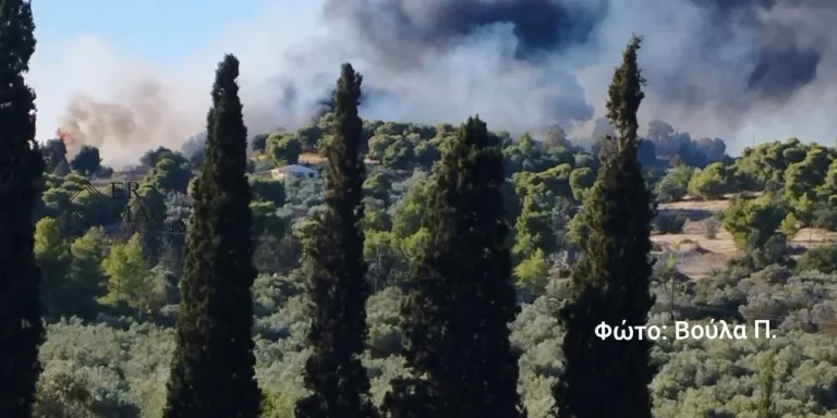 Αργολίδα: Φωτιά στην περιοχή Κουνούπι