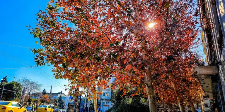 Φθινοπωρινό το σκηνικό του καιρού σήμερα με βοριάδες και τοπικές βροχές