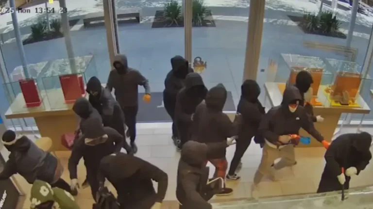 Κινηματογραφική ληστεία στην Καλιφόρνια: 30 μασκοφόροι μπούκαραν σε κοσμηματοπωλείο – Δείτε βίντεο