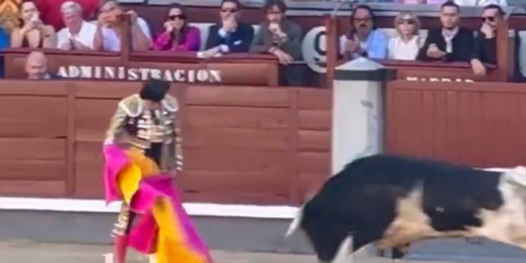 Σοκαριστικό περιστατικό: Ταύρος κάρφωσε έμπειρο ταυρομάχο στη Μαδρίτη (βίντεο)