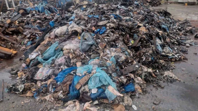 Μεγάλη περιβαλλοντική ρύπανση: Έθαψαν τόνους από ζωικά απόβλητα στην Πρέβεζα