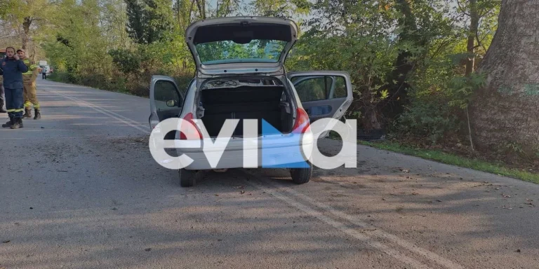 Σοβαρό τροχαίο στην Εύβοια: Αυτοκίνητο έπεσε σε πλάτανο