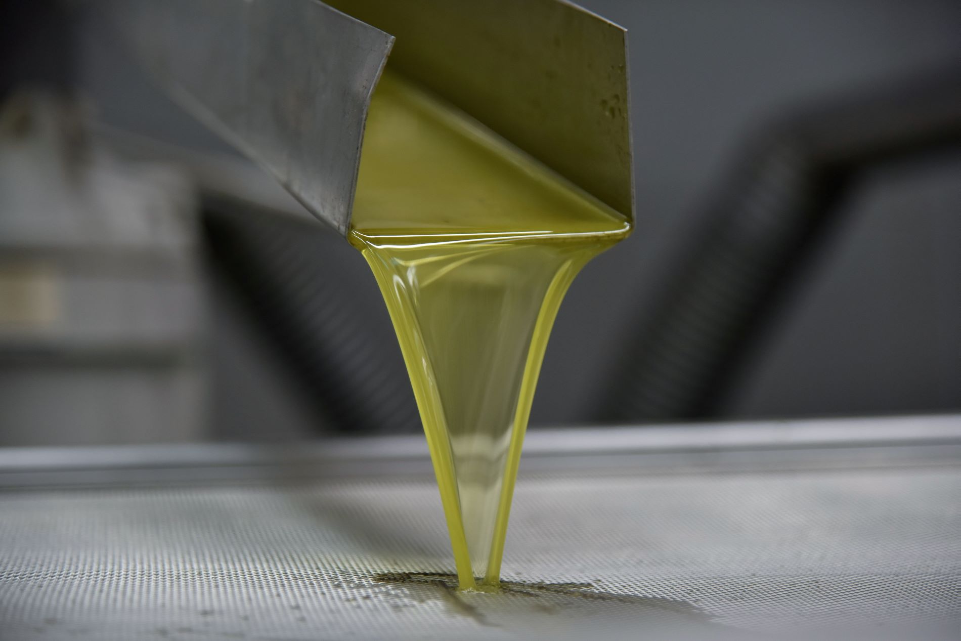 Ελαιόλαδο: Ποια είναι η τιμή που θα έχει φέτος