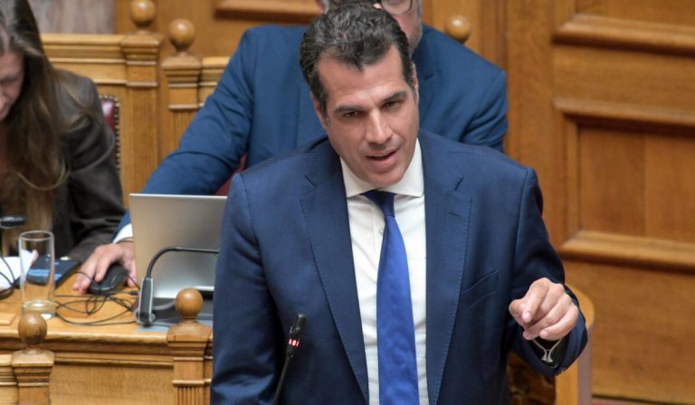 Πλεύρης: Όσοι μαζεύτηκαν στην κρουαζιέρα στη Γάζα, είναι με τη Χαμάς